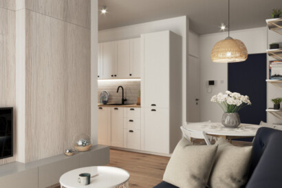 salon z aneksem kuchennym