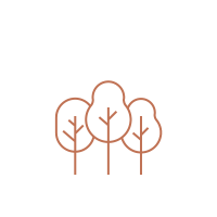 zielona okolica osiedla nowe flisy w bydgoszczy